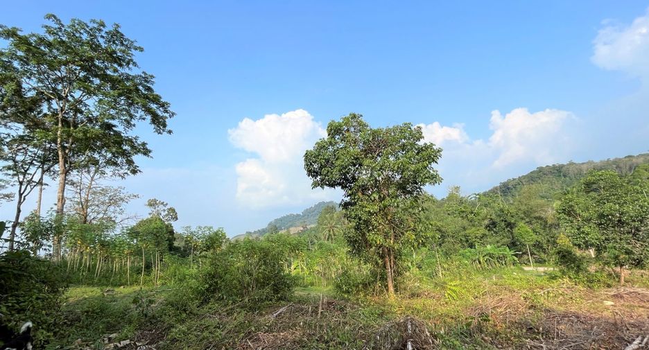 出售 土地 在 Takua Thung, Phangnga