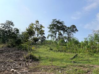 For sale land in Takua Thung, Phang Nga