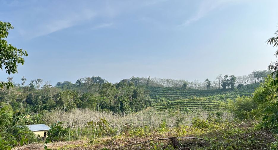 出售 土地 在 Takua Thung, Phangnga