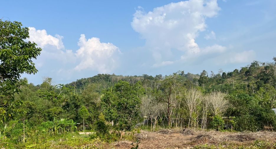 出售 土地 在 Takua Thung, Phangnga