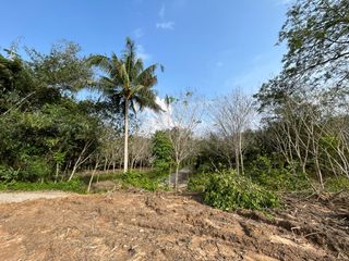 For sale land in Takua Thung, Phang Nga