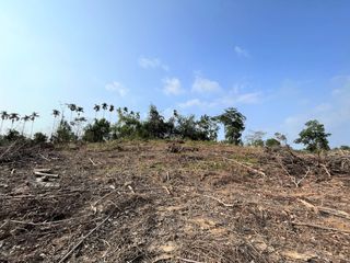 For sale land in Takua Thung, Phang Nga