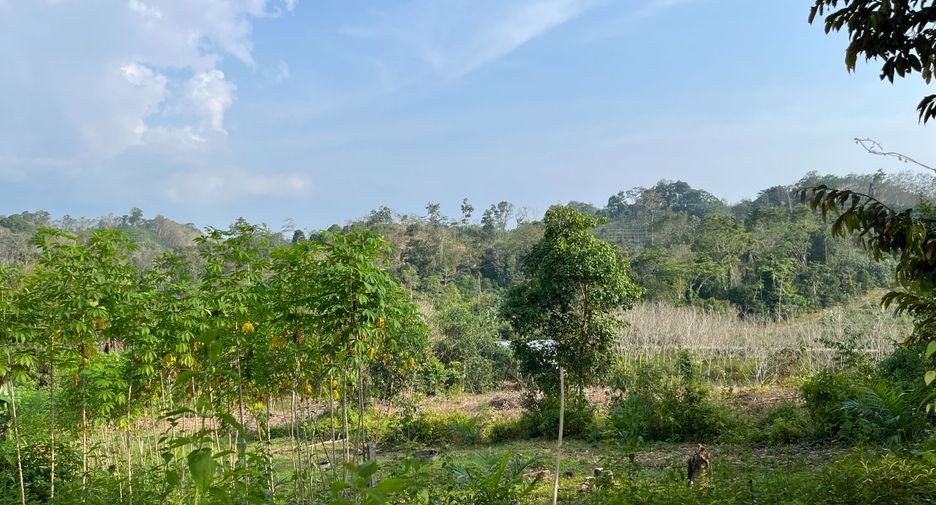 出售 土地 在 Takua Thung, Phangnga