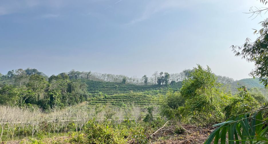 出售 土地 在 Takua Thung, Phangnga