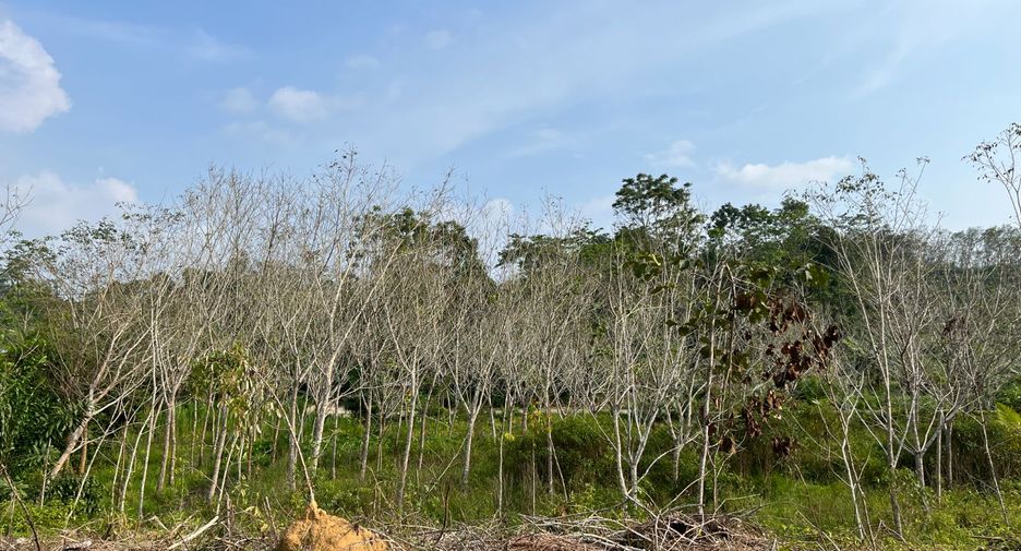 出售 土地 在 Takua Thung, Phangnga