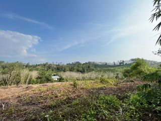 For sale land in Takua Thung, Phang Nga