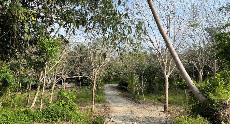 出售 土地 在 Takua Thung, Phangnga