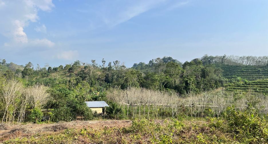 出售 土地 在 Takua Thung, Phangnga