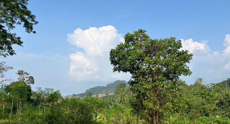 出售 土地 在 Takua Thung, Phangnga