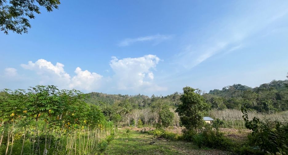 出售 土地 在 Takua Thung, Phangnga