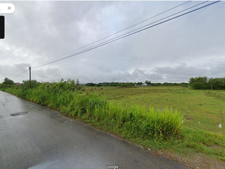 For sale land in Doi Lo, Chiang Mai