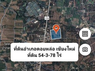 For sale land in Doi Lo, Chiang Mai