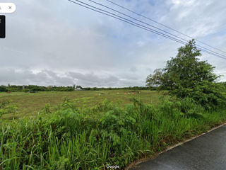 For sale land in Doi Lo, Chiang Mai