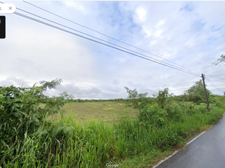 For sale land in Doi Lo, Chiang Mai