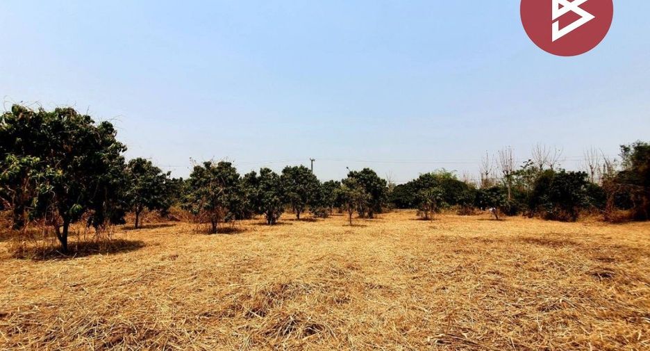 For sale land in Doi Lo, Chiang Mai