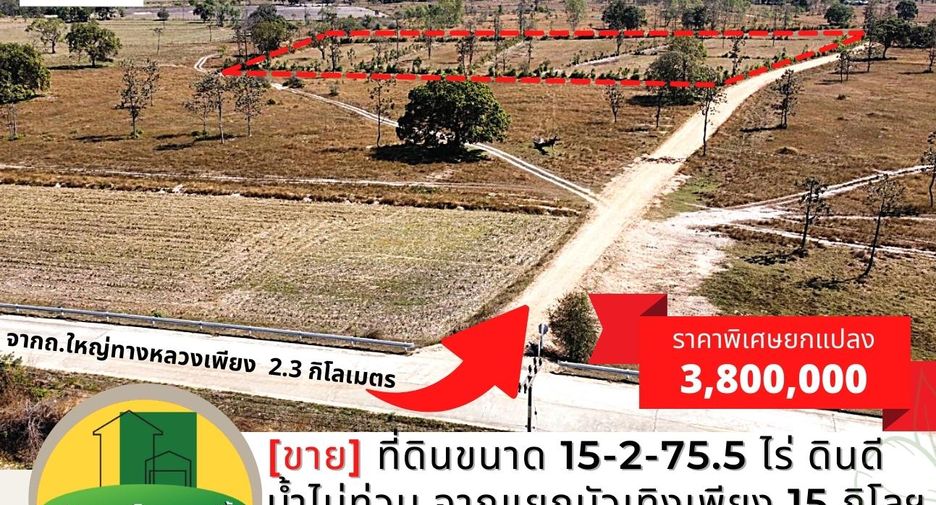 For sale land in Sawang Wirawong, Ubon Ratchathani