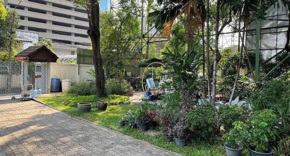 For sale land in Bang Sue, Bangkok