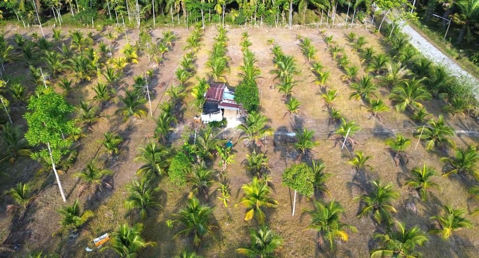 Terreno en venta en Takua Thung, Phang Nga