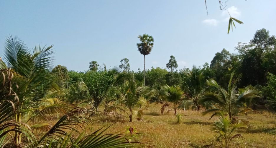 Terreno en venta en Takua Thung, Phang Nga