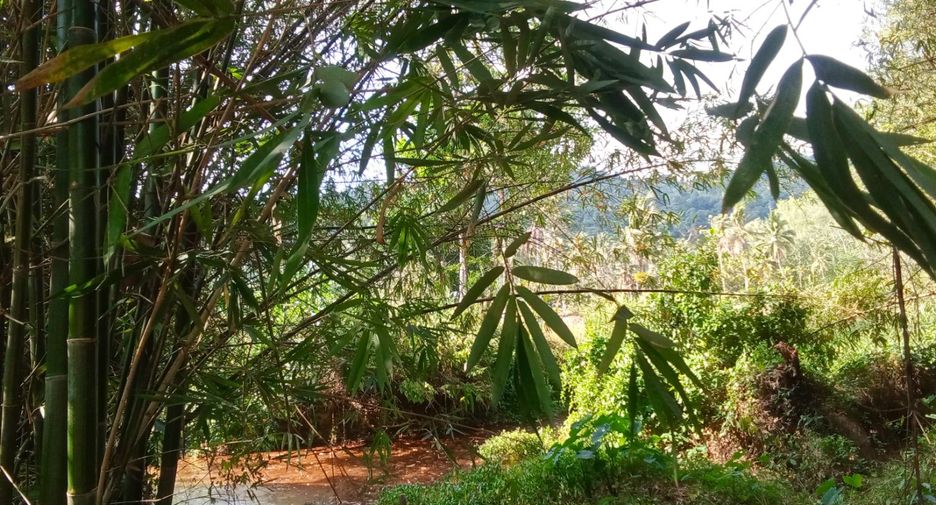Terreno en venta en Takua Thung, Phang Nga