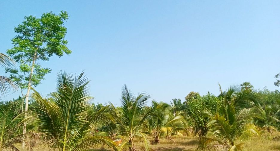Terreno en venta en Takua Thung, Phang Nga