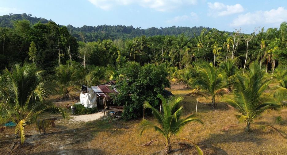 Terreno en venta en Takua Thung, Phang Nga