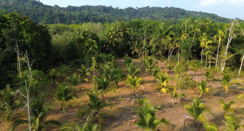 Terreno en venta en Takua Thung, Phang Nga