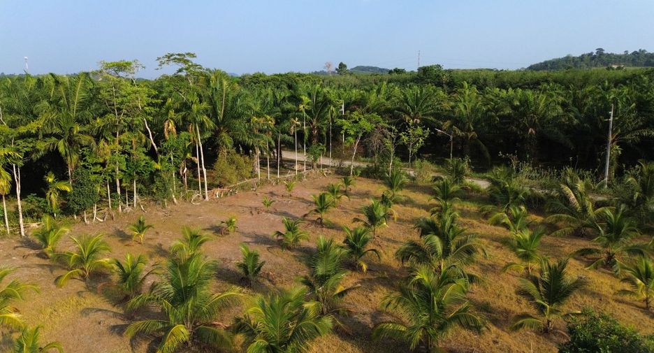 Terreno en venta en Takua Thung, Phang Nga