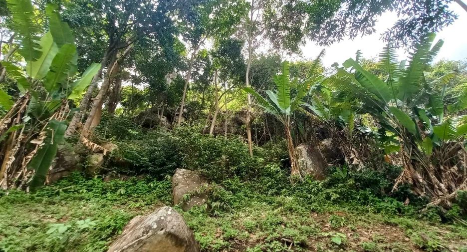 Grundstück zum Kauf in Mueang Krabi, Krabi