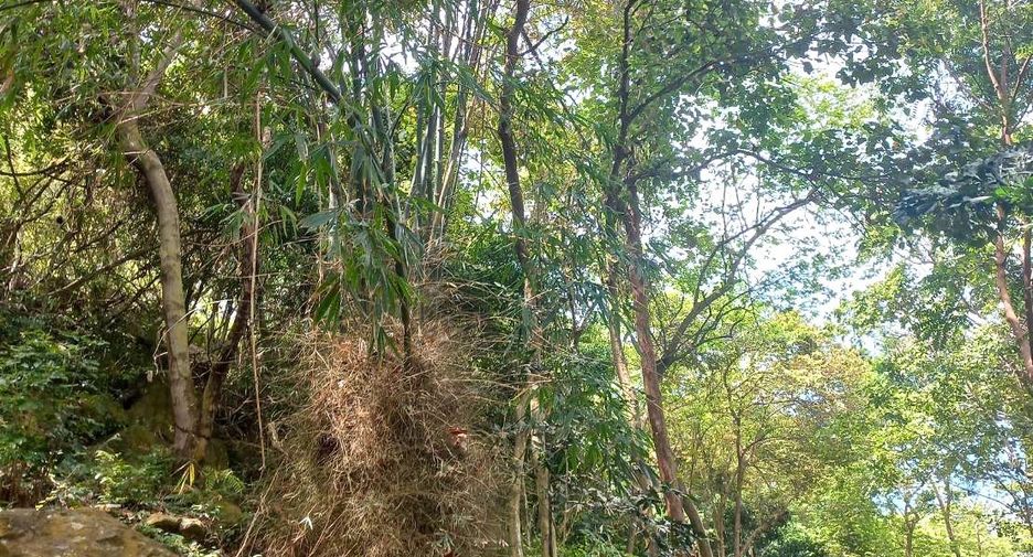 Grundstück zum Kauf in Mueang Krabi, Krabi