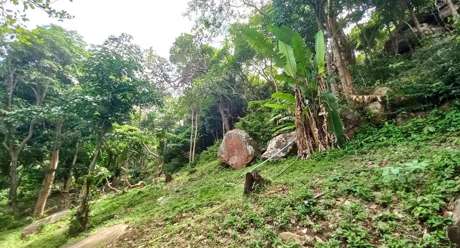 Grundstück zum Kauf in Mueang Krabi, Krabi