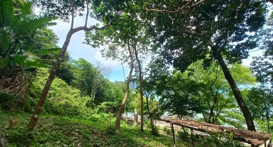 Grundstück zum Kauf in Mueang Krabi, Krabi