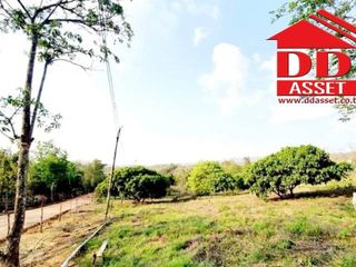 For sale land in Mae Sot, Tak
