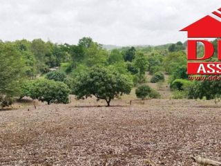For sale land in Mae Sot, Tak