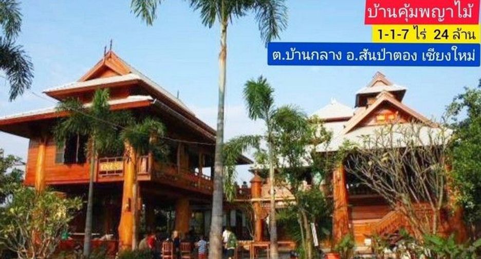 ขาย 8 ห้องนอน พื้นที่ค้าปลีก ใน สันป่าตอง, เชียงใหม่