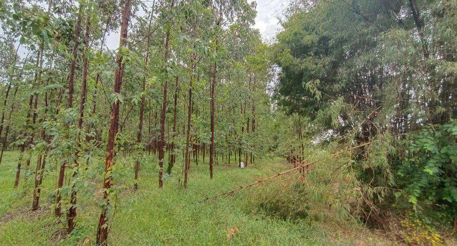 À vendre terrain à Phanom Sarakham, Chachoengsao