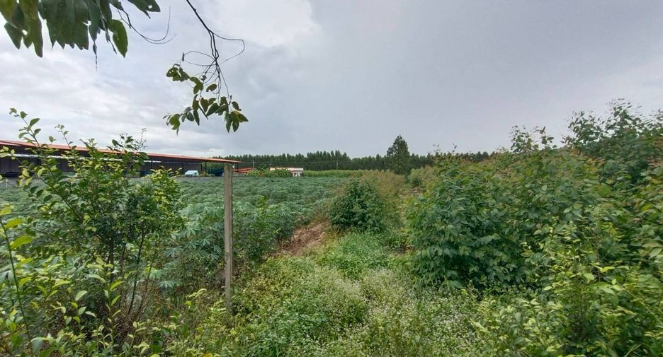 À vendre terrain à Phanom Sarakham, Chachoengsao