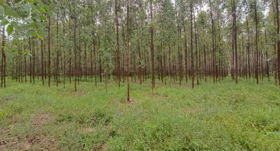 À vendre terrain à Phanom Sarakham, Chachoengsao