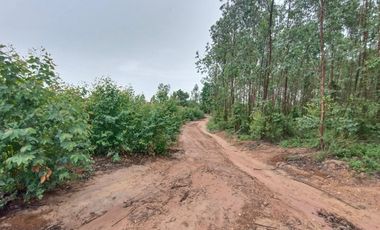 Продажа Участок в Phanom Sarakham, Чаченгсау