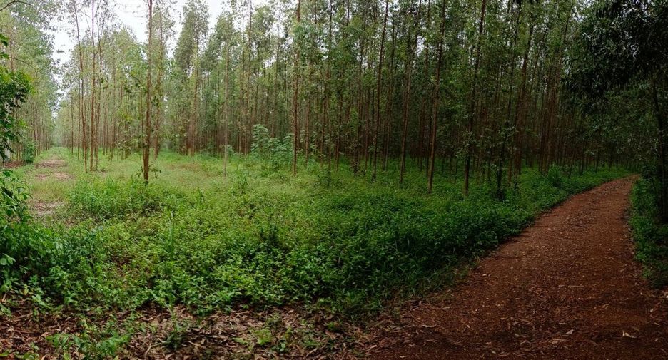 À vendre terrain à Phanom Sarakham, Chachoengsao