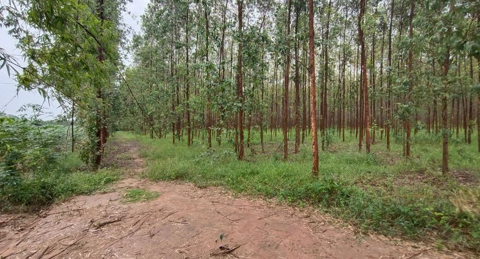À vendre terrain à Phanom Sarakham, Chachoengsao