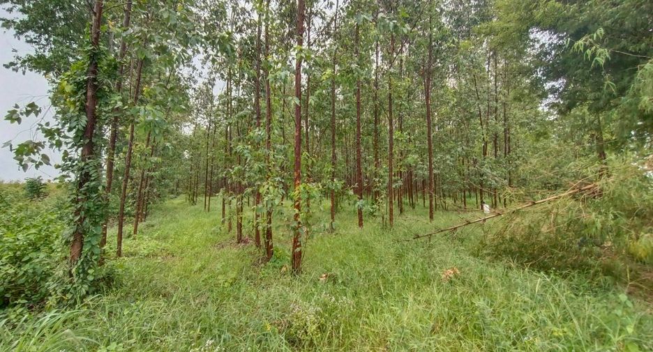 À vendre terrain à Phanom Sarakham, Chachoengsao