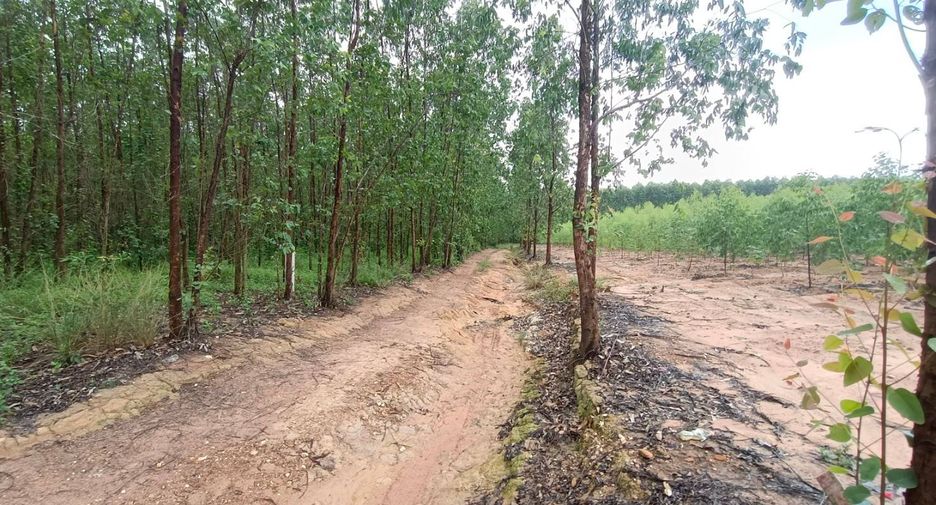 À vendre terrain à Phanom Sarakham, Chachoengsao