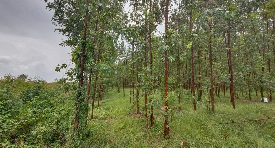À vendre terrain à Phanom Sarakham, Chachoengsao