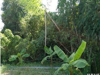 出售 土地 在 Wat Sing, Chai Nat