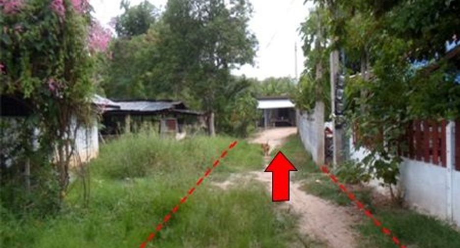 For sale land in Wat Sing, Chainat