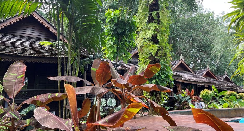 À vendre 15 chambres local commercial à Mueang Krabi, Krabi