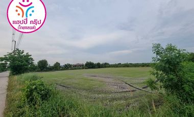 For sale land in Phan Thong, Chonburi
