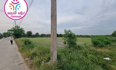 For sale land in Phan Thong, Chonburi
