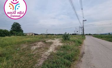 For sale land in Phan Thong, Chonburi